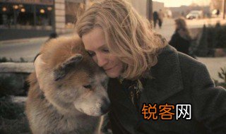 忠犬八公故事简介 忠犬八公讲的什么
