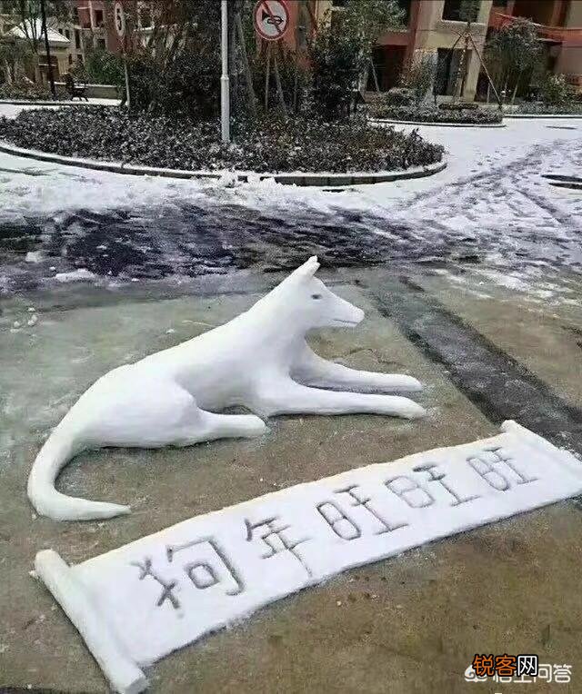 大家都有什么爱好丰富多彩的生活？