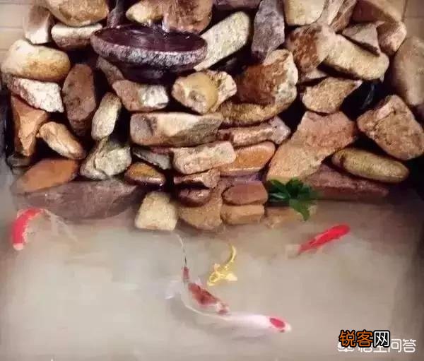 大家都有什么爱好丰富多彩的生活？