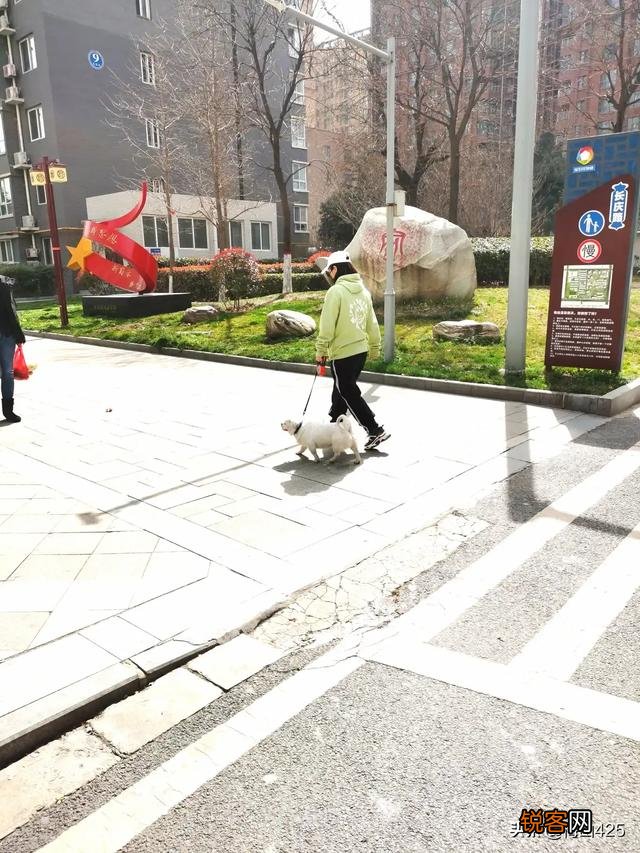 中老年人,有哪三大兴趣爱好？你怎么看？