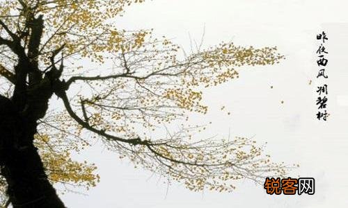 对于王国维的“人生三境界”,结合自身大家有什么独到的见解？