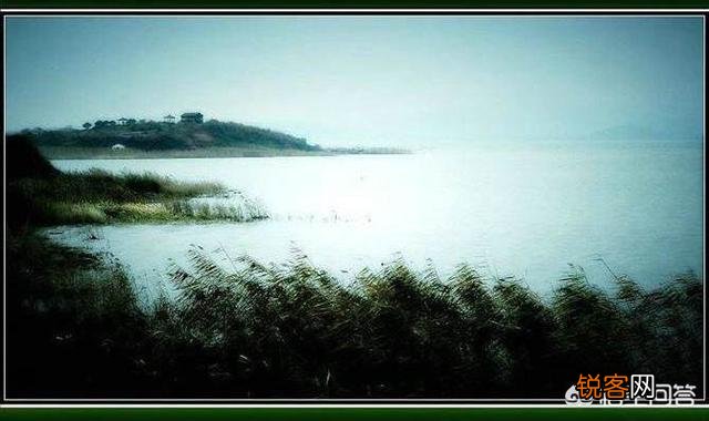 请问,你的爱好是什么呢？为什么爱好？