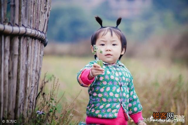 作为一名公益志愿者,你得到了什么？