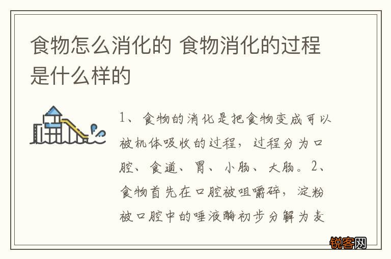 食物怎么消化的 食物消化的过程是什么样的