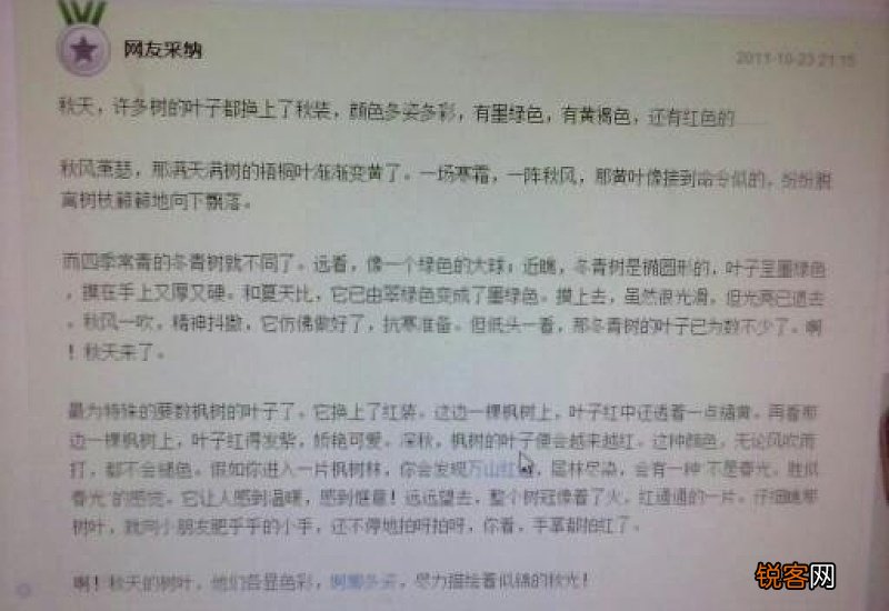 观察秋天的叶子日记600字