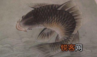 鲤鱼跳龙门的故事简介 鲤鱼跳龙门故事经过及内容