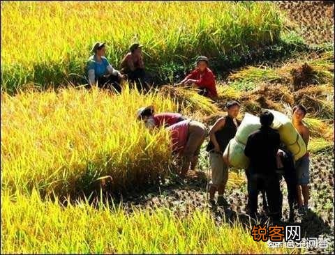 如何以\＂清江秋影\＂为题写诗？