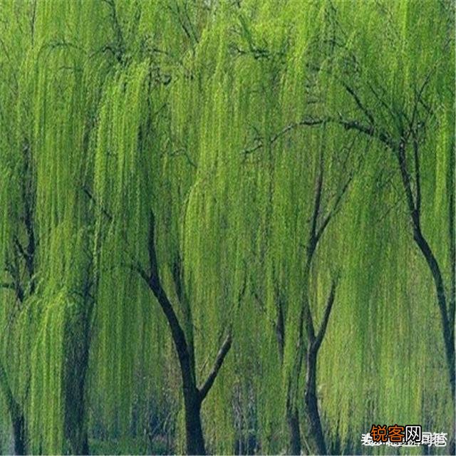 如何以\＂清江秋影\＂为题写诗？