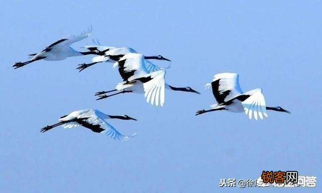 如何以\＂清江秋影\＂为题写诗？