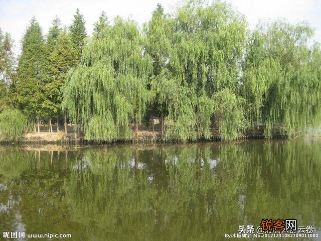 水映花面花映水,柳延河堤河延柳！推敲一下：延和沿哪个更好？