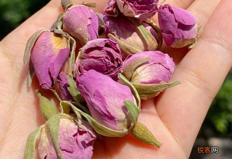 鲜的玫瑰花怎么做玫瑰花茶 新鲜玫瑰花怎么做成花茶