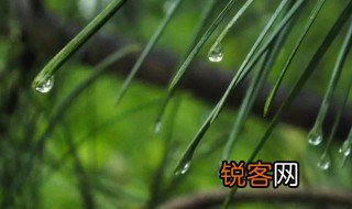 山雨的主要讲什么一句话概括 山雨简单介绍