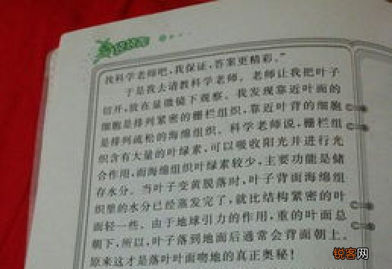 观察秋天的杨树日记500字