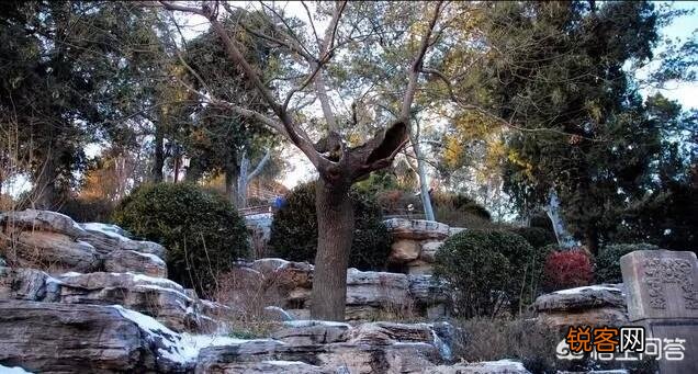 历史上吊死崇祯皇帝“歪脖子树”,现如今还在原地吗？