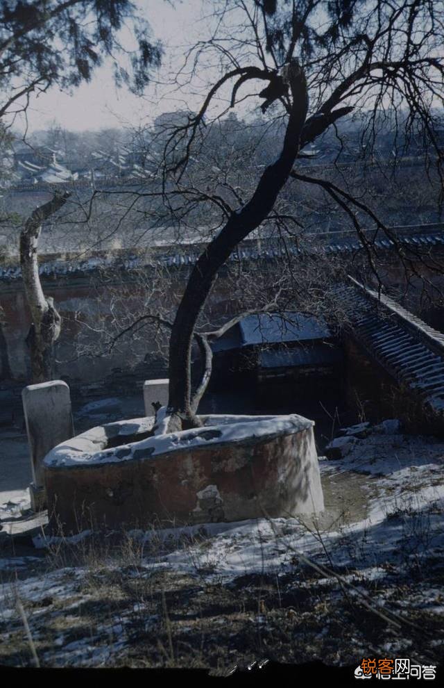 历史上吊死崇祯皇帝“歪脖子树”,现如今还在原地吗？