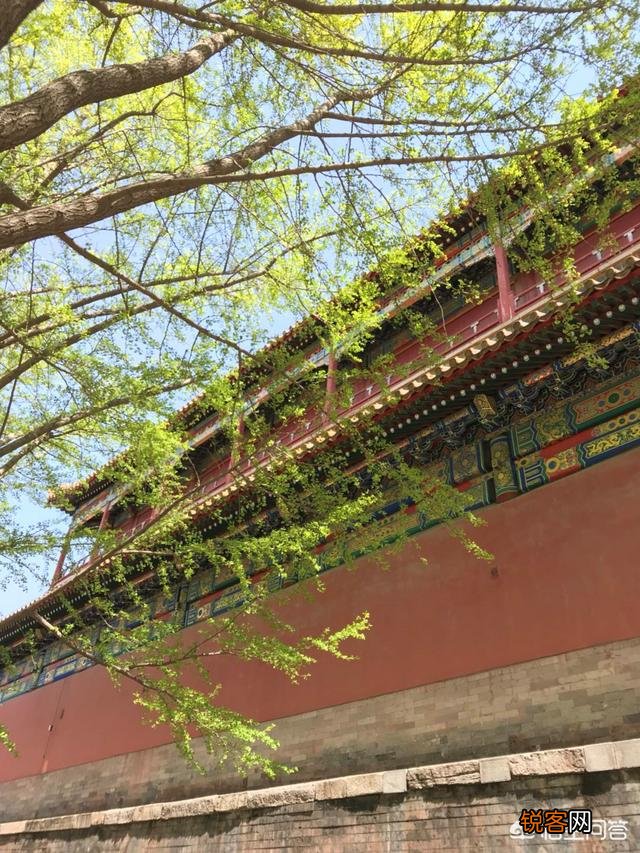 听说在故宫不适宜照相是真的吗？