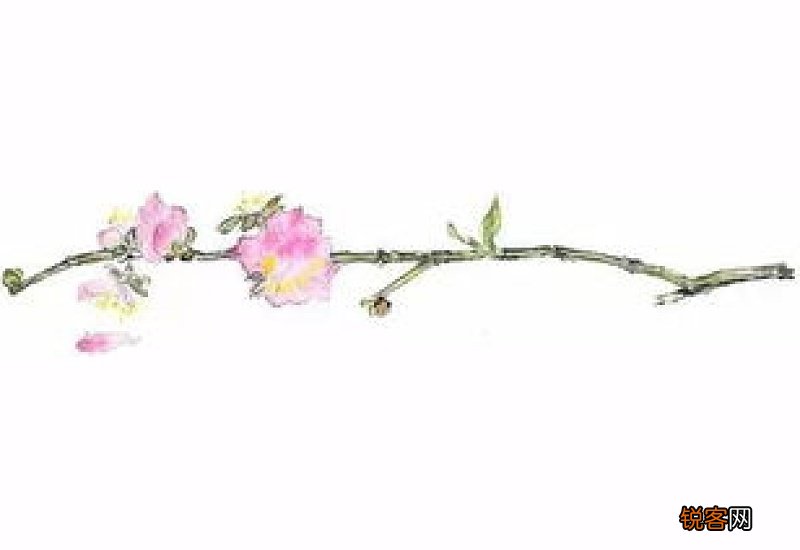 春雨惊春指的是哪四个节气?
