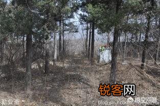 请讲一个最恐怖的鬼故事可以吗？