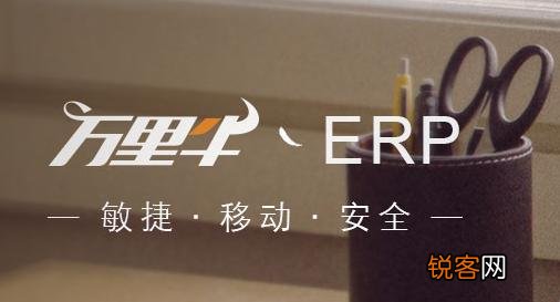 ERP是什么意思?