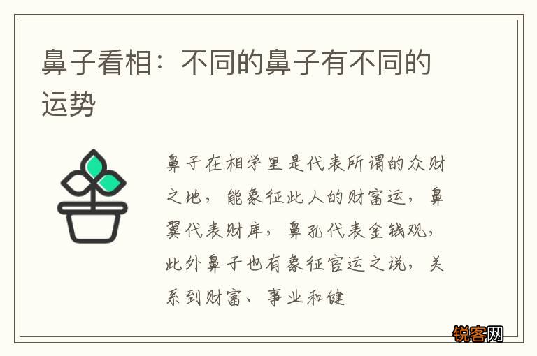 鼻子看相：不同的鼻子有不同的运势