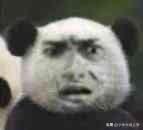 起怎样的英语名不会显得那么蠢啊？