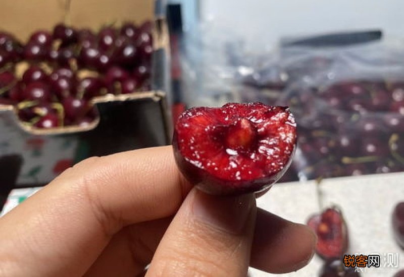 车厘子硬一点好还是软一点好