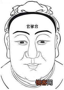 面相算命图解：面相十二宫图之官禄宫