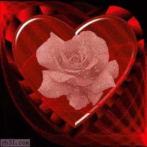 有的老母鸡为什么会打鸣？