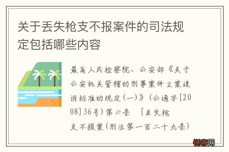 关于丢失枪支不报案件的司法规定包括哪些内容