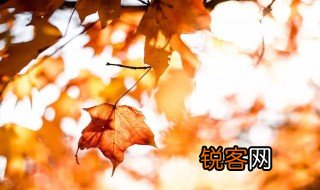 却道天凉好个秋的意思 却道天凉好个秋解释