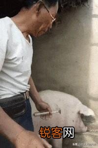 中国移动近期搞的信用购活动,即用户99元套餐升级到188元套餐送手机电瓶车划算吗？