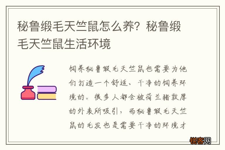 秘鲁缎毛天竺鼠怎么养？秘鲁缎毛天竺鼠生活环境