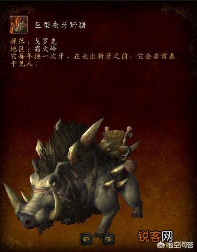《魔兽世界》现在德拉诺的那些掉落型坐骑怎么拿？