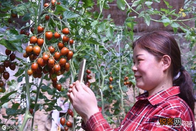 农产品销售的短视频+直播模式势头很火,新入手者有哪些注意事项？