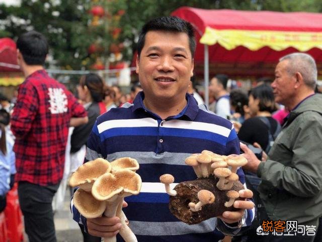 农产品销售的短视频+直播模式势头很火,新入手者有哪些注意事项？
