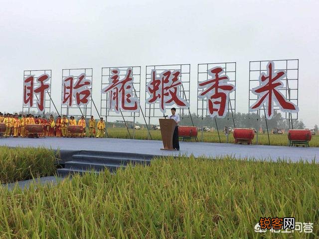 农产品销售的短视频+直播模式势头很火,新入手者有哪些注意事项？