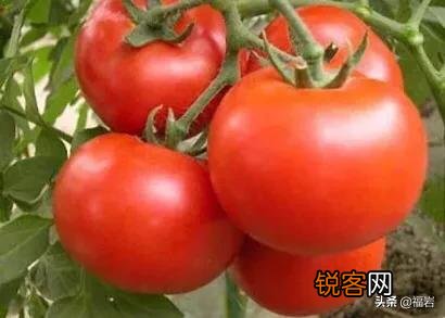 在如今直播行业异军突起时,农产品的直播怎么样做能抓住这个机会？