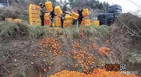 在如今直播行业异军突起时,农产品的直播怎么样做能抓住这个机会？