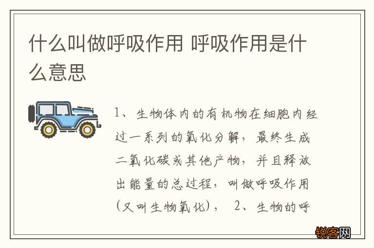 什么叫做呼吸作用 呼吸作用是什么意思