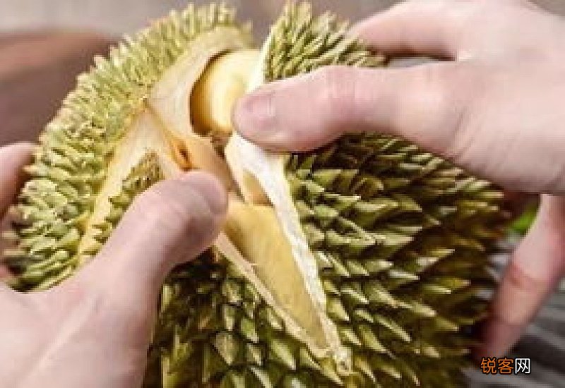 榴莲买大的还是小划算
