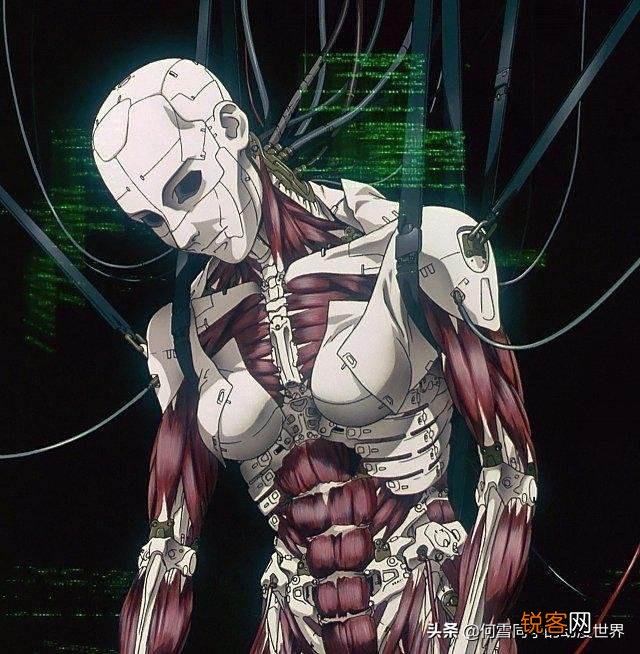 你认为世界上前10的动漫电影是哪几部？