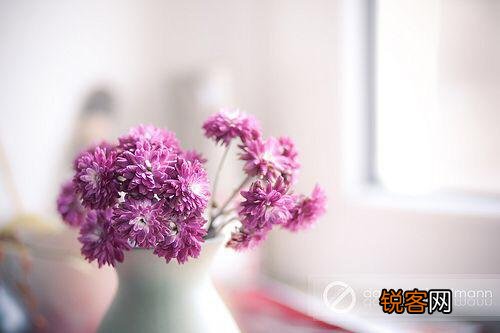 你们觉得靳东和张宇长的像不像呢？