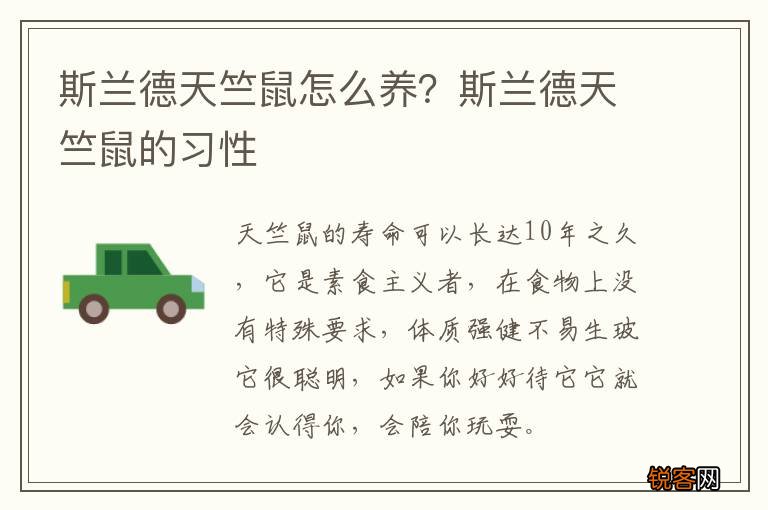 斯兰德天竺鼠怎么养？斯兰德天竺鼠的习性