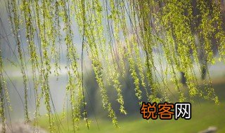 手种堂前垂柳别来几度春风的意思 手种堂前垂柳别来几度春风解释