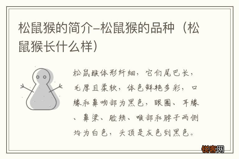 松鼠猴长什么样 松鼠猴的简介-松鼠猴的品种