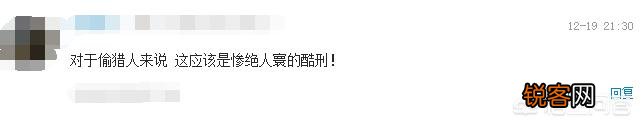 能推荐几部过去经典的、有教育意义的儿童动画片吗？