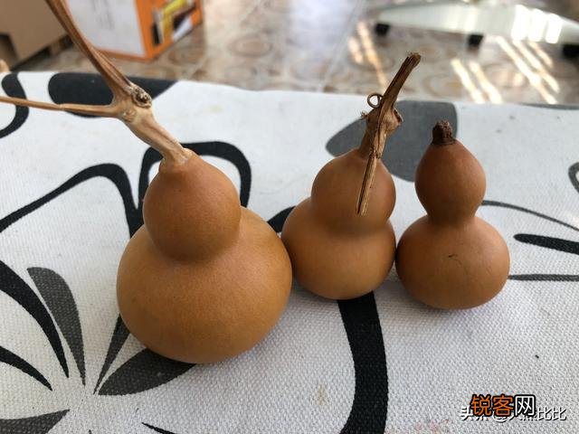 我们小时候的经典动画片有哪些,可以证明你老啦？
