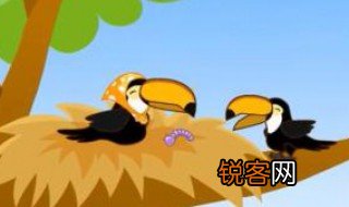 乌鸦反哺的故事简介 乌鸦反哺的故事介绍