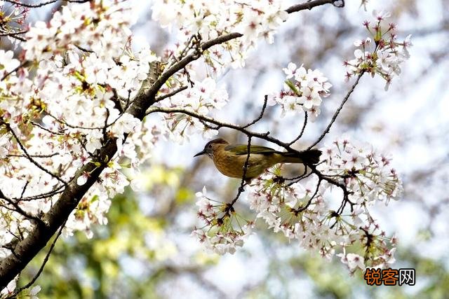 求靠谱的兼职推荐？