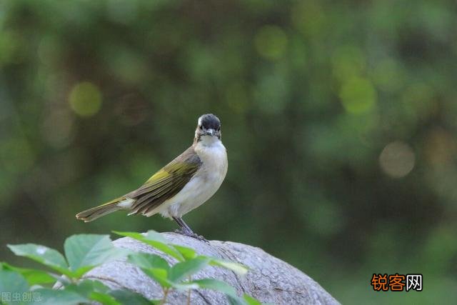 求靠谱的兼职推荐？